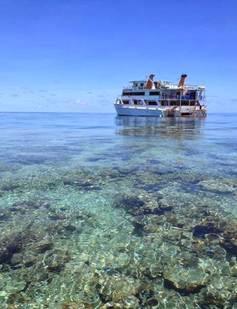 Photo: Cairns Dive