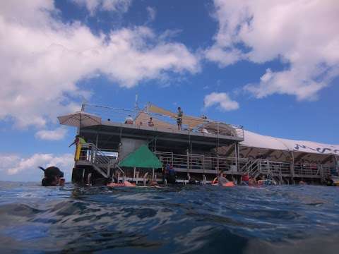 Photo: Great Barrier Reef Tours
